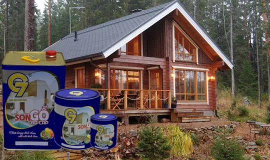 Sản phẩm x1 1 540x320 — Công Ty TNHH Một Thành Viên Thành Hoàng Châu — MST 0400594492