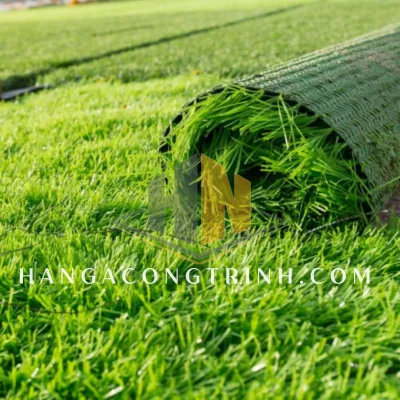 Sản phẩm 01 0065 — Công Ty TNHH TM & DV Hà Nga — MST 0400689666