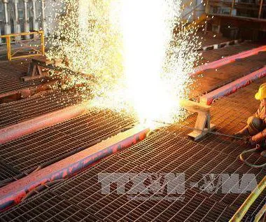 Sản phẩm 174319174841 636555892682498036 085422 124910 hoaphat 600x500 — Thép Tân Khang - Công Ty Cổ Phần Xây Lắp Và Thương Mại Dịch Vụ Tân Khang — MST 0400775019