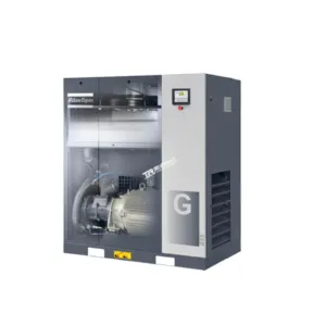 Sản phẩm Atlas Copco G55 8.5 Bar 300x300 — Dầu Nhờn Và Máy Nén Khí Triển Phát - Công Ty TNHH Kỹ Thuật Triển Phát — MST 0400963679