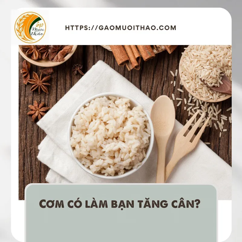 Sản phẩm com co lam ban tang can — Gạo Mười Thảo - Công Ty TNHH MTV Mười Thảo — MST 0401351319