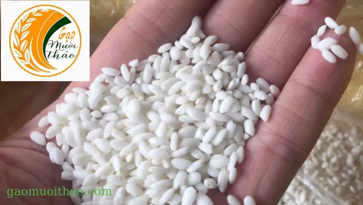 Sản phẩm cong dung hat gao — Gạo Mười Thảo - Công Ty TNHH MTV Mười Thảo — MST 0401351319