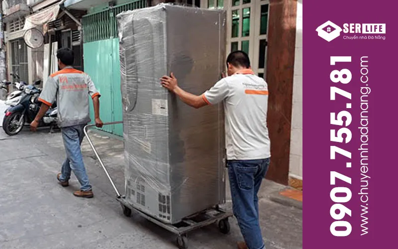 Sản phẩm IMG9 — Công Ty Cổ Phần Dịch Vụ - Thương Mại Serlife — MST 0401359357