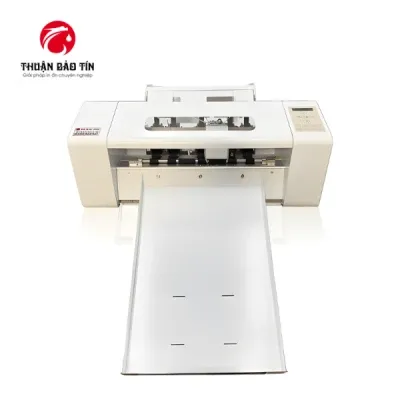 Sản phẩm b13 plus 6031 — Công Ty TNHH MTV Thuận Bảo Tín — MST 0401431081