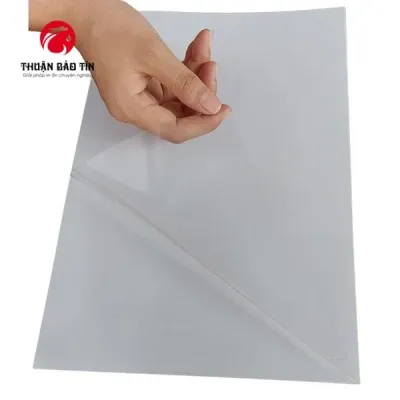 Sản phẩm decal trong a3 ( 20s ) 8597 — Công Ty TNHH MTV Thuận Bảo Tín — MST 0401431081