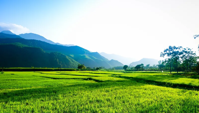Sản phẩm DSCF5230 — Công Ty TNHH Kỹ Thuật Môi Trường Trần - Đông A — MST 0401431500