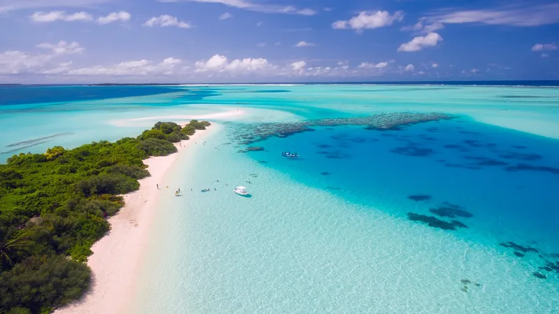 Sản phẩm maldives 1993704 — Công Ty TNHH Kỹ Thuật Môi Trường Trần - Đông A — MST 0401431500