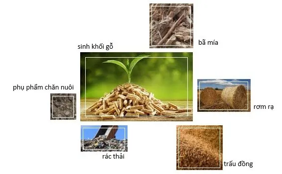 Sản phẩm nang luong sinh khoi o viet nam — Công Ty TNHH TM SX U&I Phương Quân — MST 0401449353