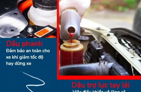 Sản phẩm 11640142831334603001 — Chi Nhánh Công Ty TNHH Minh Hưng Lợi — MST 0401480071