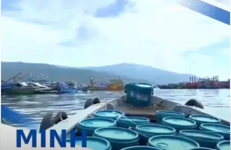 Sản phẩm 11664182551874603001 — Chi Nhánh Công Ty TNHH Minh Hưng Lợi — MST 0401480071