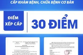 Sản phẩm 270_crop__XYP_CYP_BV_copy — Công Ty TNHH Một Thành Viên Bệnh Viện Đa Khoa Tâm Trí Đà Nẵng — MST 0401506925