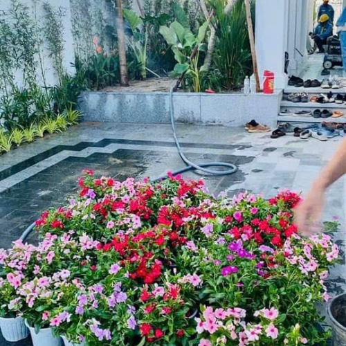Sản phẩm product e06styxf4pitcsl 4234 quy trinh cham soc san vuon chuyen nghiep tu a z tai da nang — Công Ty TNHH Cây Xanh Cảnh Quan Hoa Sen Việt — MST 0401513619