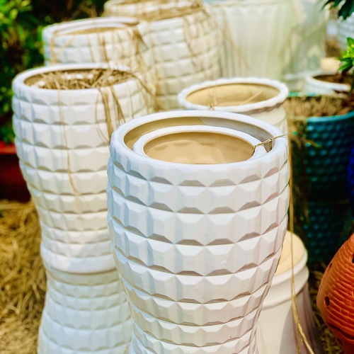 Sản phẩm product ldn6m5eu2ent2r8 1439 chau trong cay bang gom su da nang — Công Ty TNHH Cây Xanh Cảnh Quan Hoa Sen Việt — MST 0401513619