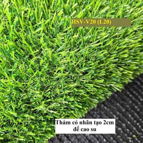 Sản phẩm product z04sfs3ewwetjie 2443 tham co 2 cm de cao su — Công Ty TNHH Cây Xanh Cảnh Quan Hoa Sen Việt — MST 0401513619