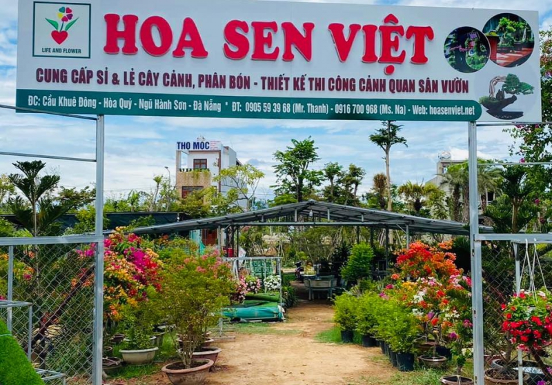 Sản phẩm th 7k3eocn453dgdii 1133 cua hang lo 230 vo chi cong da nangvuon uom rong 2ha — Công Ty TNHH Cây Xanh Cảnh Quan Hoa Sen Việt — MST 0401513619