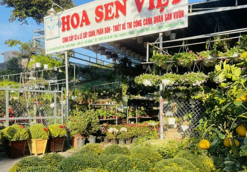 Sản phẩm th b0zb31m18gjmkb8 1132 cua hang hoa sen viet 573 nguyen huu tho da nang — Công Ty TNHH Cây Xanh Cảnh Quan Hoa Sen Việt — MST 0401513619
