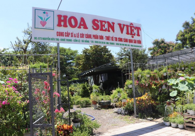 Sản phẩm th dt3fdnslcel7z9f 1137 cua hang hoa sen viet 573 nguyen huu tho — Công Ty TNHH Cây Xanh Cảnh Quan Hoa Sen Việt — MST 0401513619