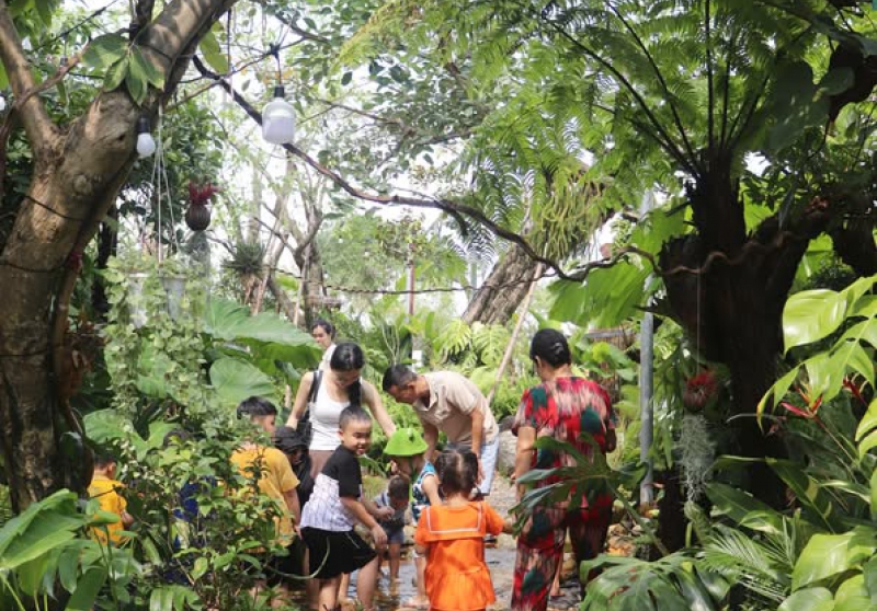 Sản phẩm th tuus0yzqi4825jz 1315 dich vu thi cong cay gieng troi tai da nang dep hien dai va chuyen nghiep — Công Ty TNHH Cây Xanh Cảnh Quan Hoa Sen Việt — MST 0401513619