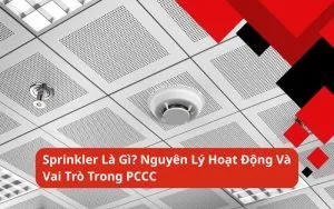 Sản phẩm sprinkler la gi 300x188 — Công Ty Cổ Phần Tư Vấn Xây Dựng-PCCC Toàn Tiến Phát — MST 0401513721