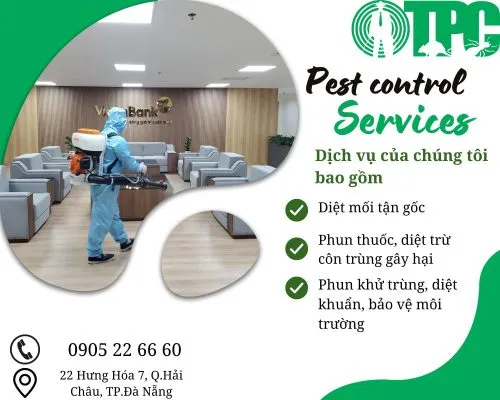 Sản phẩm 368315122_702282211917863_1497480587355300648_n 500x400 — Công Ty TNHH TM & DV Thuyên Phương — MST 0401520006
