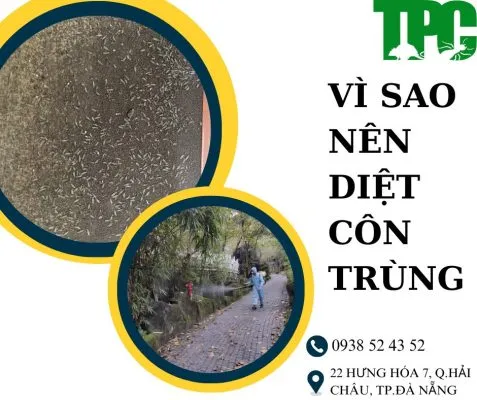 Sản phẩm 426506745_804534198359330_989867850024202529_n 477x400 — Công Ty TNHH TM & DV Thuyên Phương — MST 0401520006