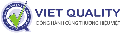 Logo Công Ty TNHH Tư Vấn Và Đào Tạo Chất Lượng Việt