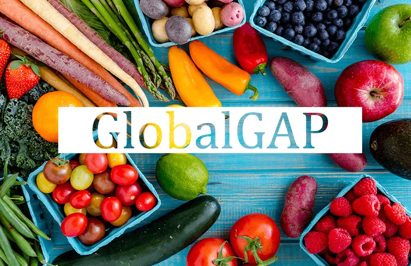 Sản phẩm globalgap 4 — Công Ty TNHH Tư Vấn Và Đào Tạo Chất Lượng Việt — MST 0401526946