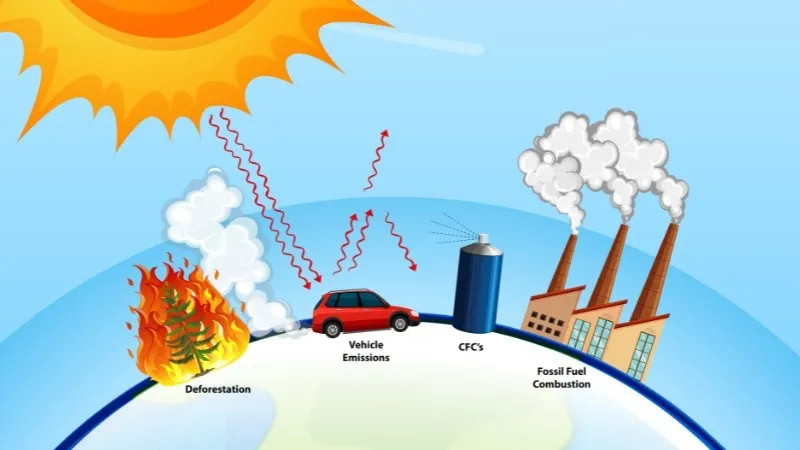 Sản phẩm kiem ke khi nha kinh co2 — Công Ty TNHH Tư Vấn Và Đào Tạo Chất Lượng Việt — MST 0401526946