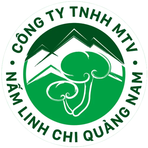 Sản phẩm Nam linh chi quang nam — Công Ty TNHH Tư Vấn Và Đào Tạo Chất Lượng Việt — MST 0401526946