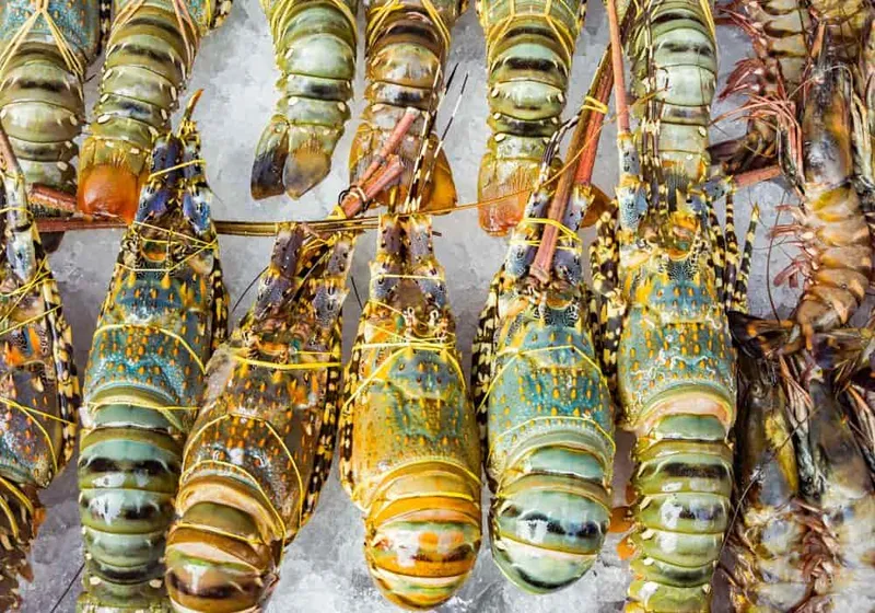 Sản phẩm trung quoc yeu cau quy dinh xuat khau thuy san — Công Ty TNHH Tư Vấn Và Đào Tạo Chất Lượng Việt — MST 0401526946