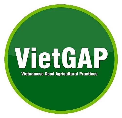 Sản phẩm VietGAP 1 — Công Ty TNHH Tư Vấn Và Đào Tạo Chất Lượng Việt — MST 0401526946