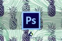 Sản phẩm huong dan thiet ke ao thun bang photoshop — Công Ty TNHH BiCi Center — MST 0401550811