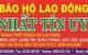 Sản phẩm 312801926_1824754057859599_5266547359271197760_n 80x50 — Công Ty TNHH Nhất Tín Uy — MST 0401554291