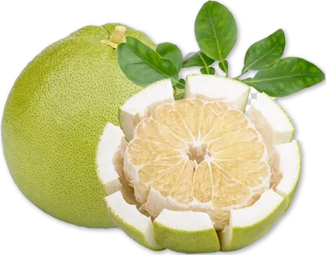 Sản phẩm qua buoi 2 — Công Ty TNHH Thực Phẩm Xanh Anh Tường — MST 0401559885