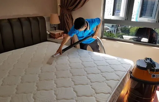 Sản phẩm giat nem tai da nang — Công Ty TNHH Vệ Sinh Công Nghiệp 5S — MST 0401599408