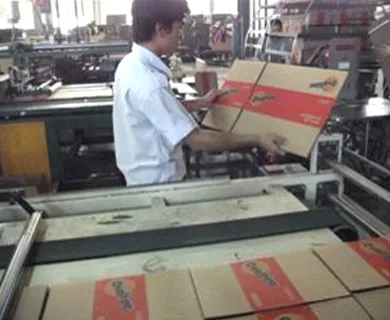 Sản phẩm hinh 4 — Công Ty Cổ Phần MP Pack — MST 0401605098