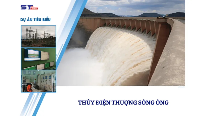 Sản phẩm song ong — Công Ty Cổ Phần STPower — MST 0401674447