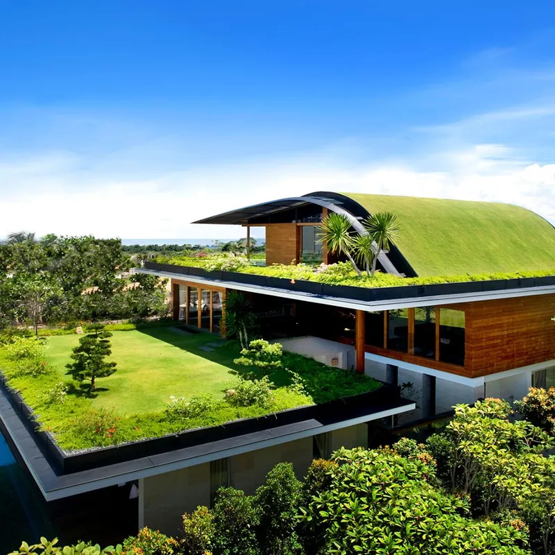 Sản phẩm 900900 2 — Công Ty TNHH Một Thành Viên Bình Garden — MST 0401681701