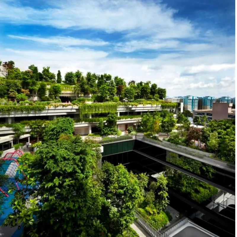 Sản phẩm 900900 4 — Công Ty TNHH Một Thành Viên Bình Garden — MST 0401681701