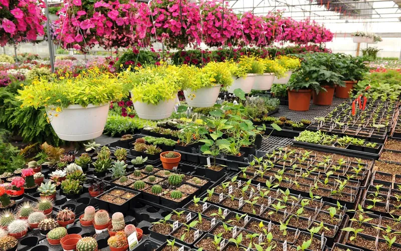 Sản phẩm post_11 1280x800 1 — Công Ty TNHH Một Thành Viên Bình Garden — MST 0401681701