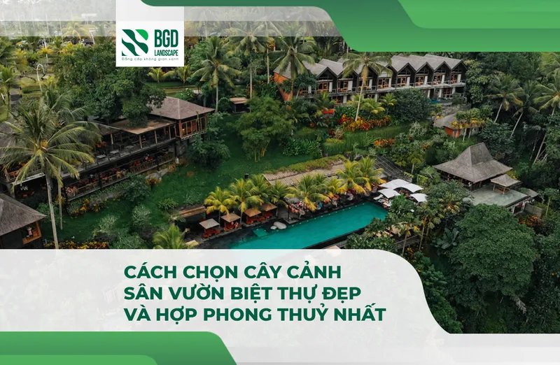Sản phẩm SEO 5 cach chon cay canh san vuon biet thu dep va hop phong thuy nhat — Công Ty TNHH Một Thành Viên Bình Garden — MST 0401681701
