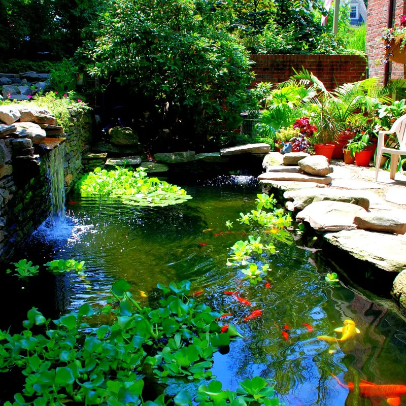 Sản phẩm Tai sao Aria kiet tac nhan loai 1080 × 1080 px 11 — Công Ty TNHH Một Thành Viên Bình Garden — MST 0401681701