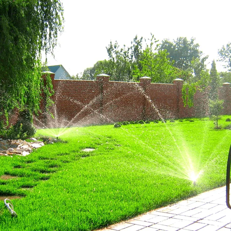 Sản phẩm Tai sao Aria kiet tac nhan loai 1080 × 1080 px 5 — Công Ty TNHH Một Thành Viên Bình Garden — MST 0401681701