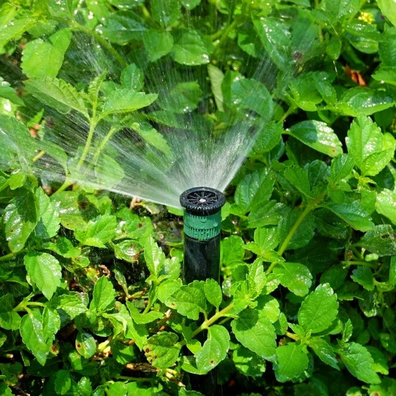 Sản phẩm Tai sao Aria kiet tac nhan loai 1080 × 1080 px 6 — Công Ty TNHH Một Thành Viên Bình Garden — MST 0401681701