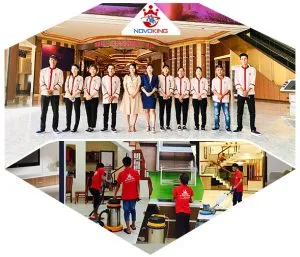 Sản phẩm HINH GIOI THIEU DICH VU Novoking 300x257 — Công Ty TNHH NOVOKING — MST 0401684935