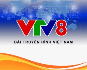 Sản phẩm vtv8 495x400 1 300x242 — Công Ty TNHH NOVOKING — MST 0401684935