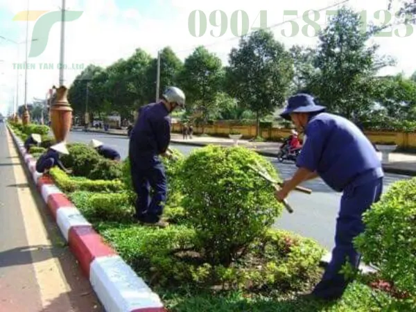 Sản phẩm 52 — Công Ty TNHH Phát Triển Công Nghệ Và Môi Trường Thiên Tân — MST 0401690311