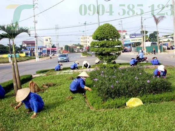 Sản phẩm dich vu cay xanh tai da nang 13 — Công Ty TNHH Phát Triển Công Nghệ Và Môi Trường Thiên Tân — MST 0401690311