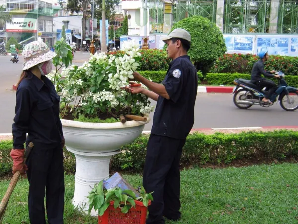 Sản phẩm dich vu cay xanh tai da nang 33 — Công Ty TNHH Phát Triển Công Nghệ Và Môi Trường Thiên Tân — MST 0401690311