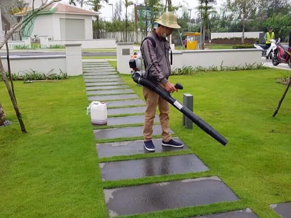 Sản phẩm dich vu cay xanh tai da nang 80(1) — Công Ty TNHH Phát Triển Công Nghệ Và Môi Trường Thiên Tân — MST 0401690311